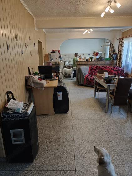 Casă cu 2 camere cu Teren 3000 Mp în Central