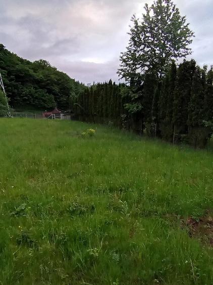 teren extravilan gilau - 8