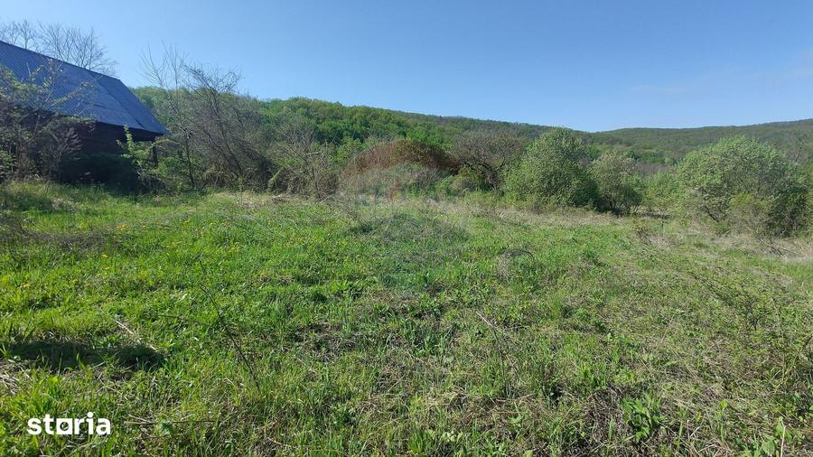 Teren de 3350 mp, în Moldovenești