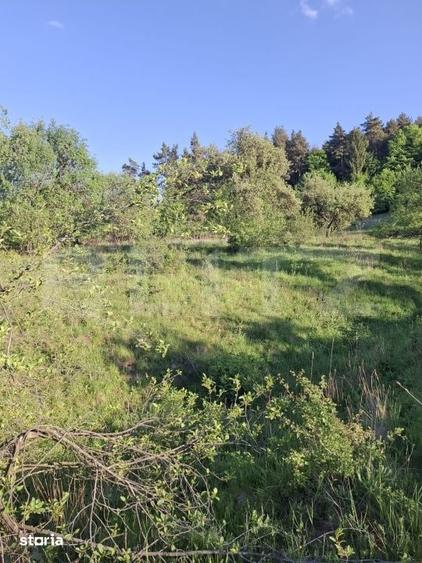 Teren de 10000 mp, în Tărlungeni