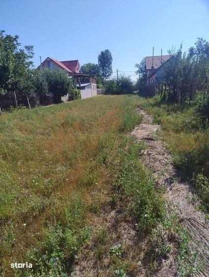 Teren de 2800 mp, în Slătioara