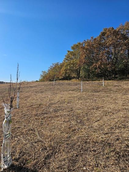 Teren de 5400 mp, în Șpring
