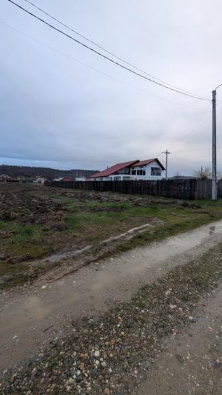 Teren de 1740 mp, în Argeșelu