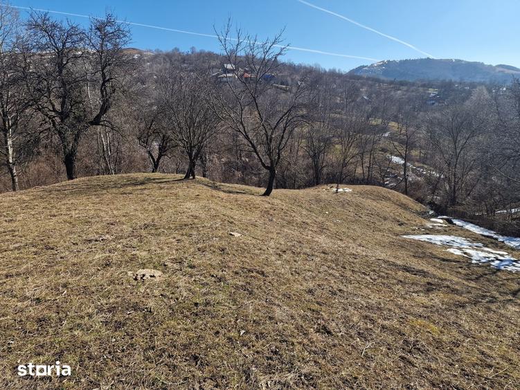 Teren de 4100 mp, în Secăria