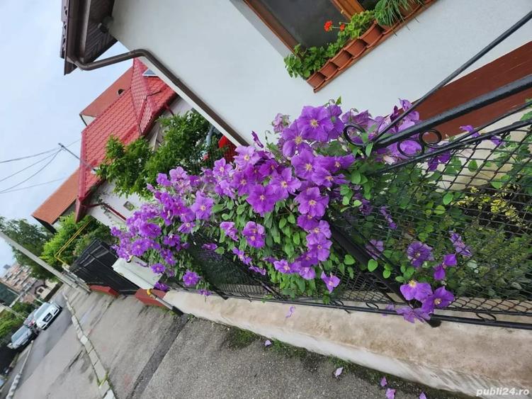 Casă cu 4 camere cu Teren 350 Mp în Central