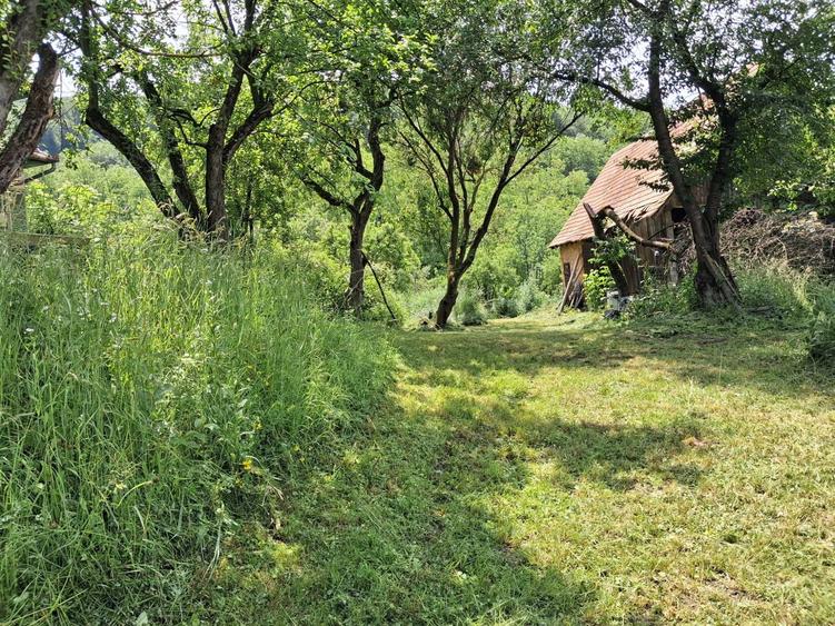 Casă cu 3 camere în Delenii