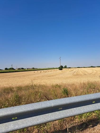 Teren agricol extravilan de 24298 mp, în Șagului