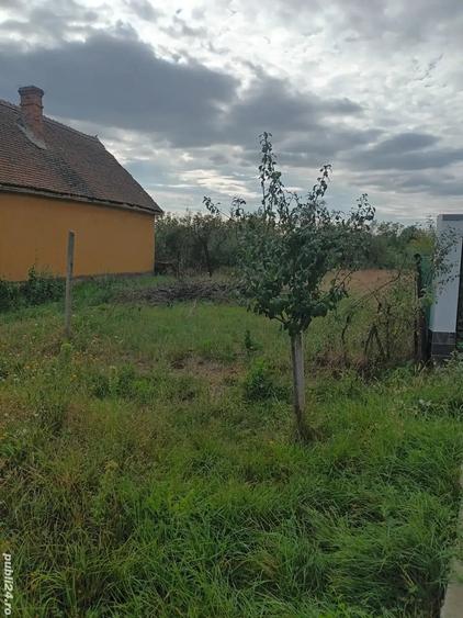 Teren de 1500 mp, în Petrovaselo