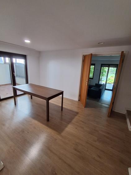 Inchiriere Vila Baneasa Lac Straulesti - 10