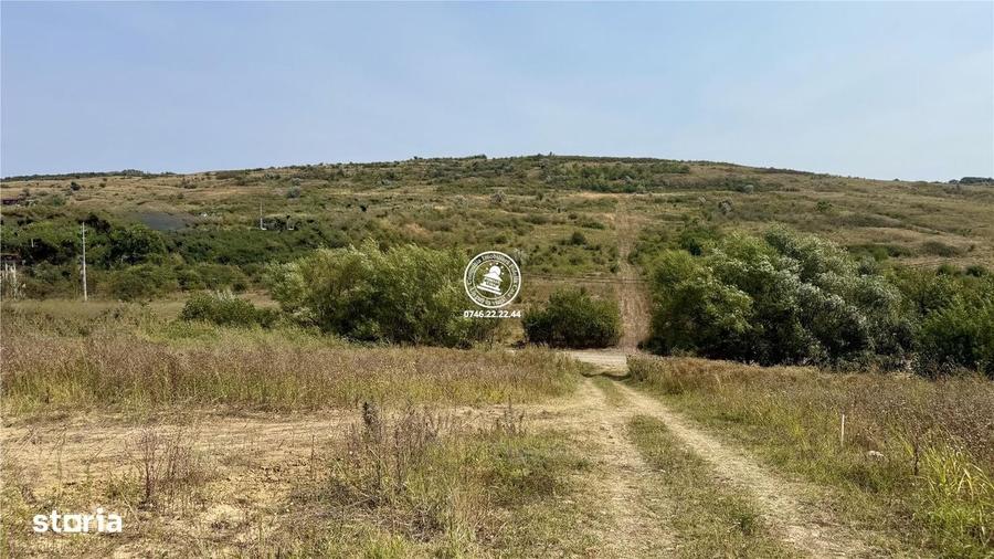 Teren Intravilan 700 mp in Dorobant, Aroneanu Toate Utilit - 1