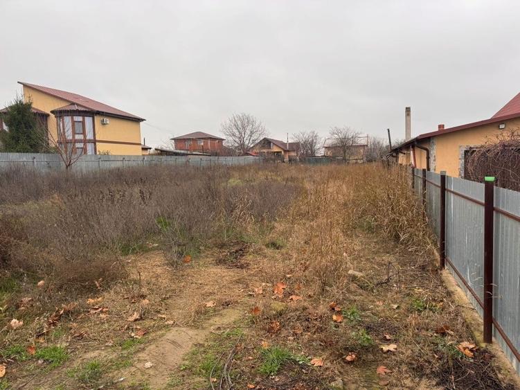 Teren de 1000 mp, în Mihail Kogălniceanu