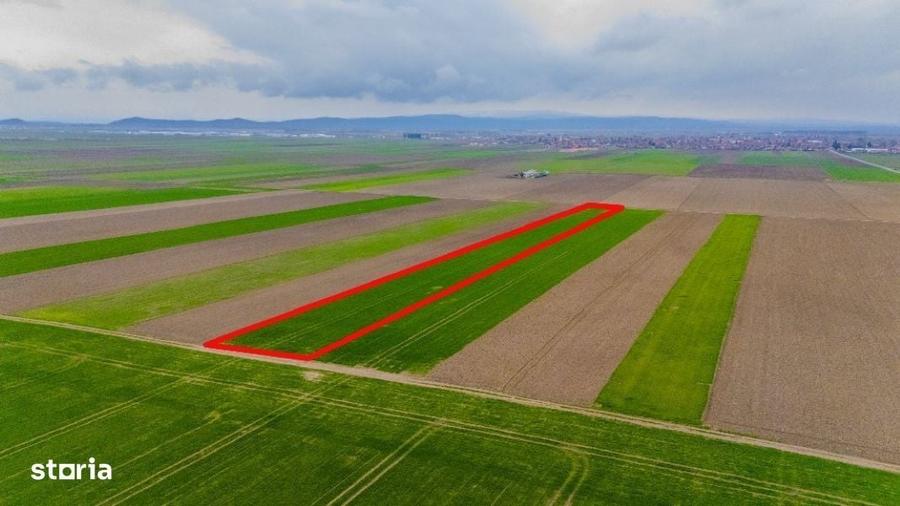 Mini ferma, sera flori, plante medicinale, agricultura , teren Prejmer - 2