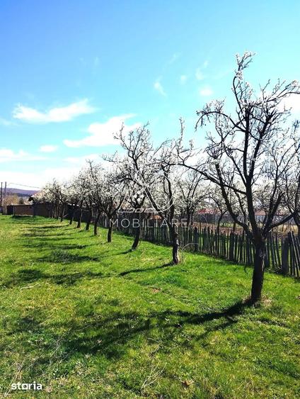 Casă cu 4 camere cu Teren 257 Mp în Crasna