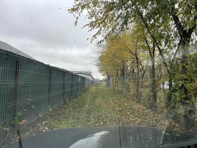 Urgent! Vand teren 750MP in Domnesti Ciutaci Ilfov - 10