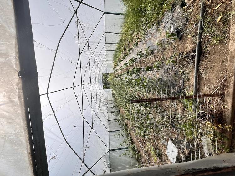 Casă cu Teren 3058 Mp în Decebal