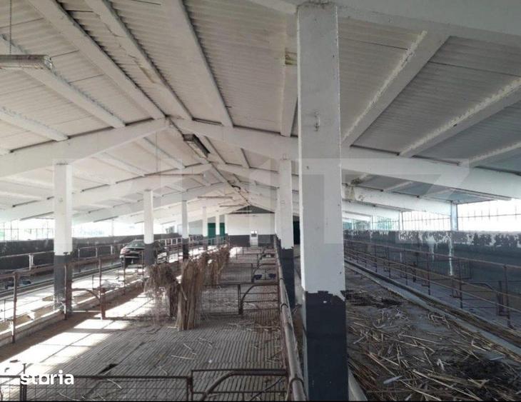 De vanzare teren-intravilan, ferma 9,5 ha, Tulcea-Sf. Gheorghe - 2