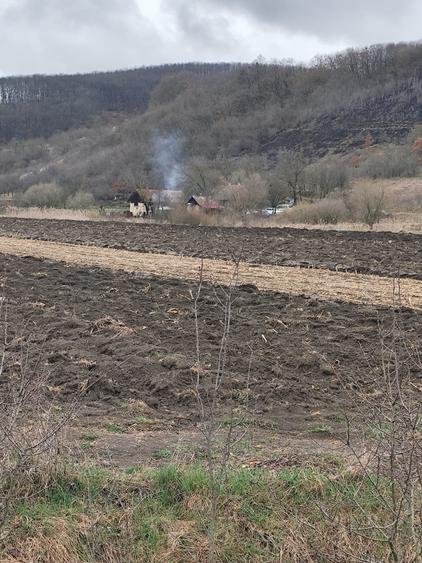 Teren agricol extravilan de 1300 mp, în Giula