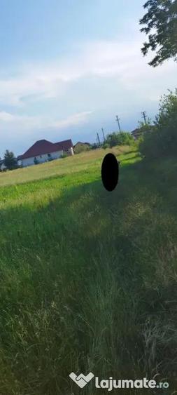Teren de 3900 mp, în Săcălășeni