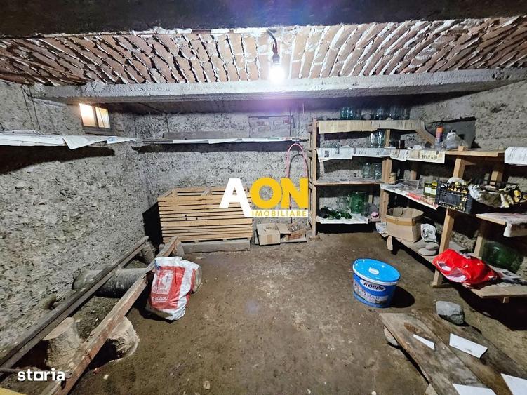 Casa renovata, 2 corpuri de cladire + anexe, 1331 mp teren, Paclisa - 4