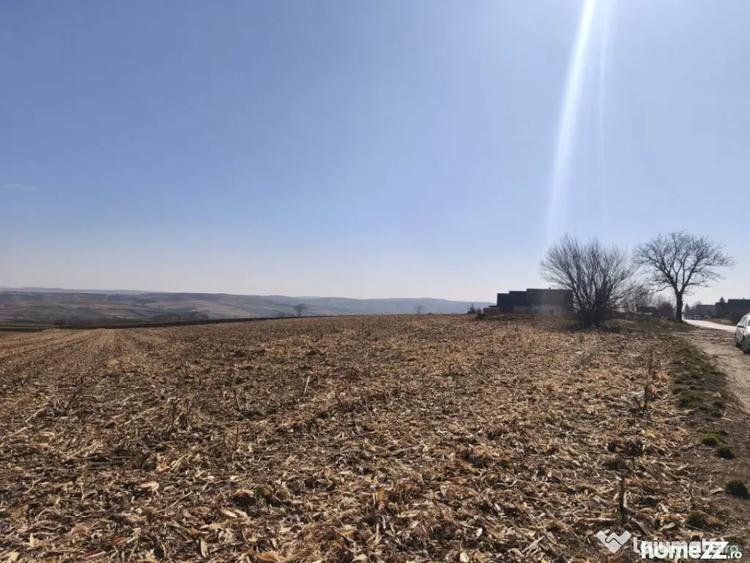 Teren de 6500 mp, în Grănicești
