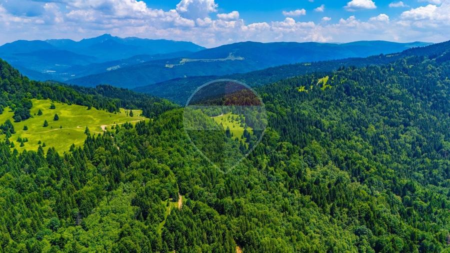 Teren agricol extravilan de 7000 mp, în Gârcini