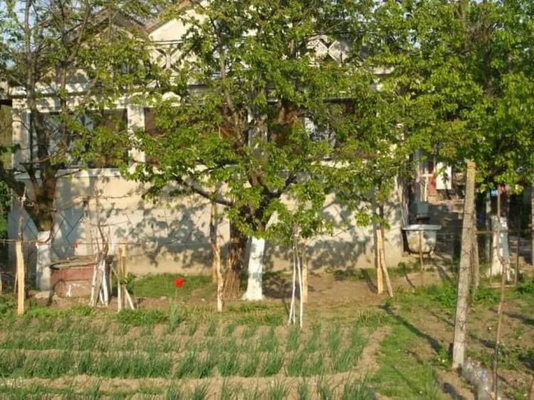 Vand casa in Zorleni (langa Barlad) - 2