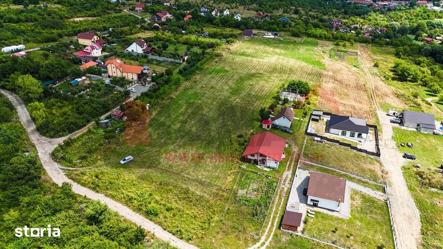 Teren 8.000 MP | Daia Noua | Intravilan | Oportunitate | SkyView - 9