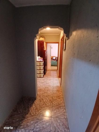 Apartament cu 3 camere decomandat în Delfinariu