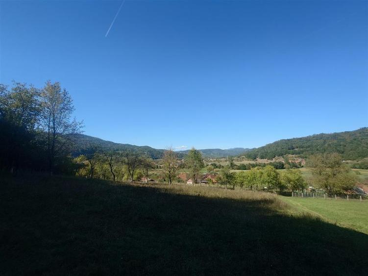 Teren intravilan de 56031 mp, în Crișcior
