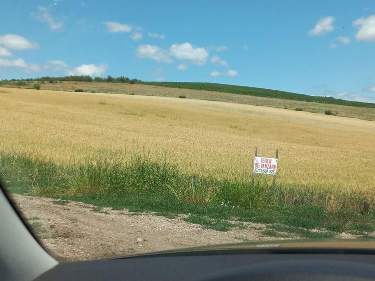 Teren de 17297 mp, în Almașu Mic