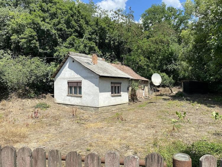 Casă cu Teren 1323 Mp în Central