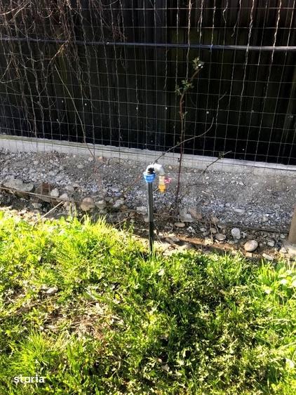 Teren de 5300 mp, în Voinești