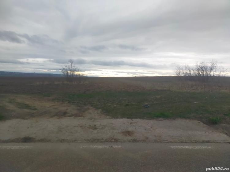Teren de 5000 mp, în Central