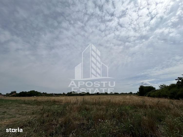 Spațiu comercial, în Parța