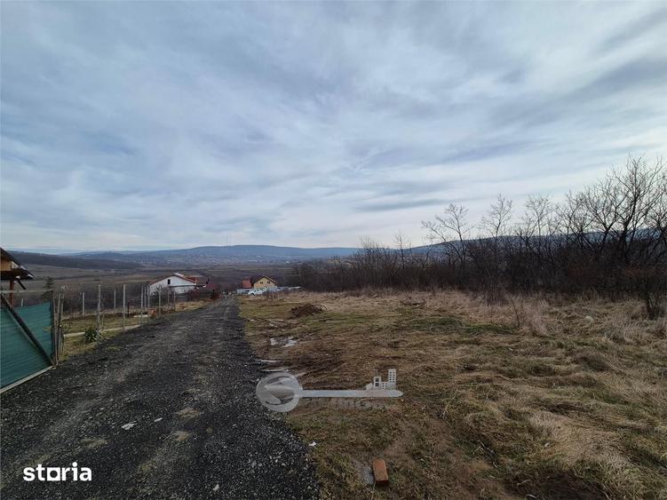 Teren de 493 mp, în Ciurea