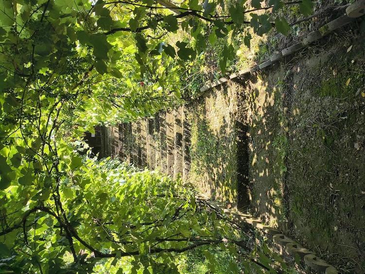 Teren de 5600 mp, în Valea Budului