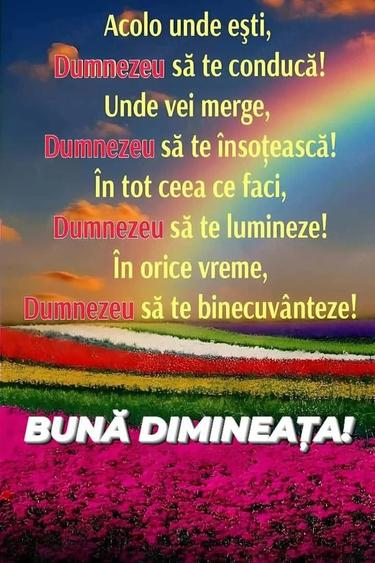 Inchiriez apartament 3 cam plus dependente in Alesd Bihor - 2
