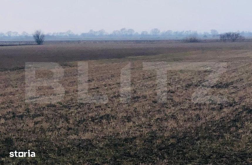 Teren de 30000 mp, în Bod