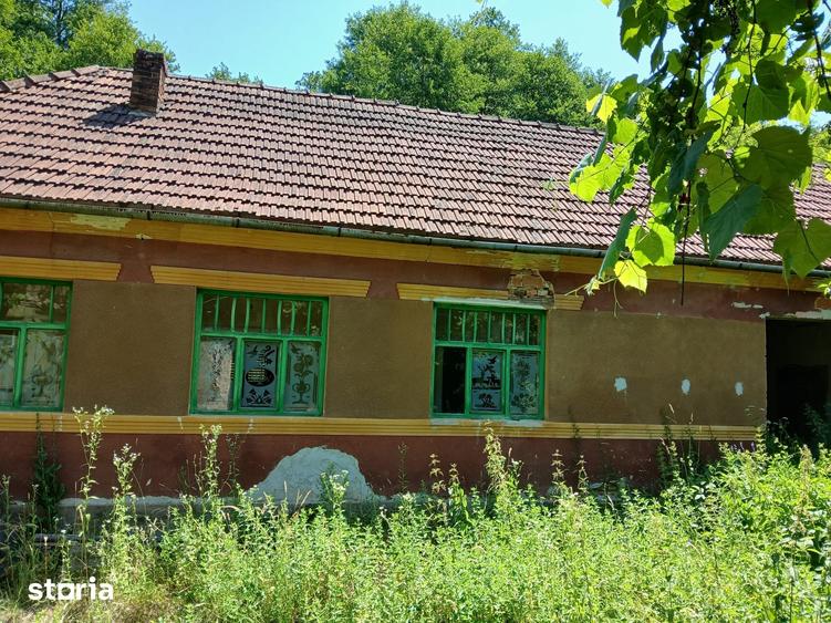 Casă cu 6 camere cu Teren 4800 Mp în Bârzava