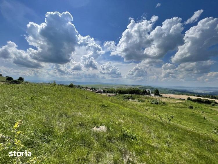 Teren de 1170 mp, în Ciurila