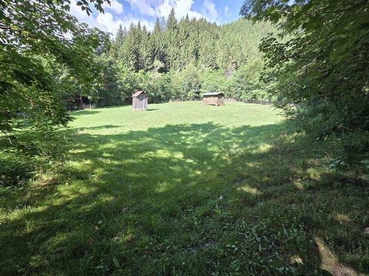 Teren de 3386 mp, în Borca