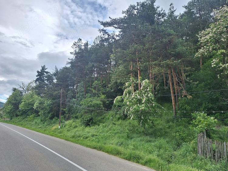 Casă cu 2 camere cu Teren 350 Mp în Cătina