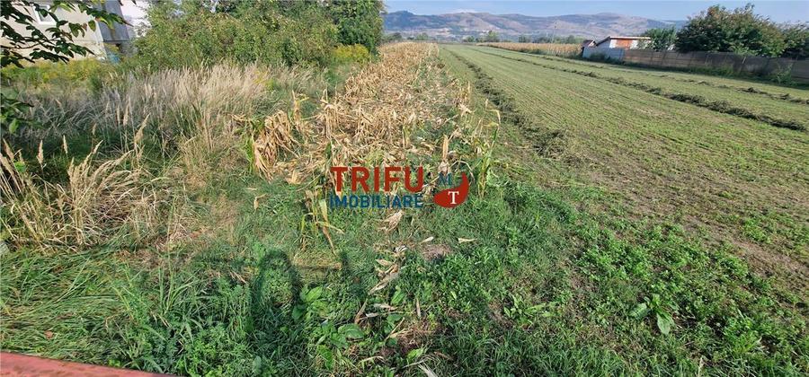 Teren Construcții intravilan de 4094 mp, în Mihalț