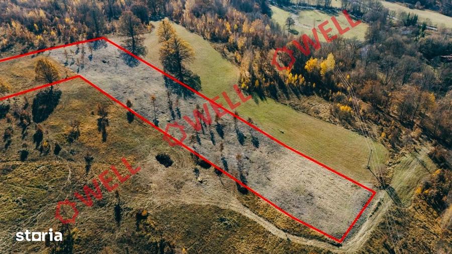 Teren de 850 mp, în Brăduț