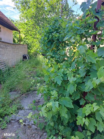 Casă cu 2 camere cu Teren 256 Mp în Central