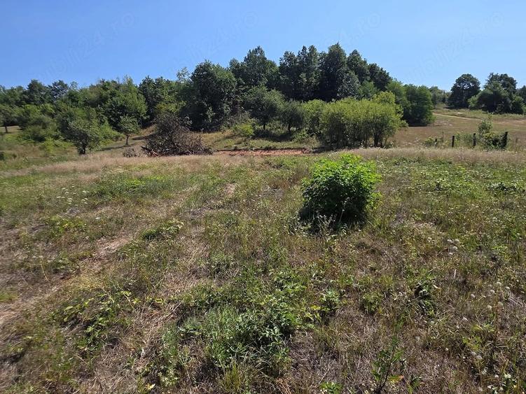 Teren de 4903 mp, în Lunca (Baia de Criș)