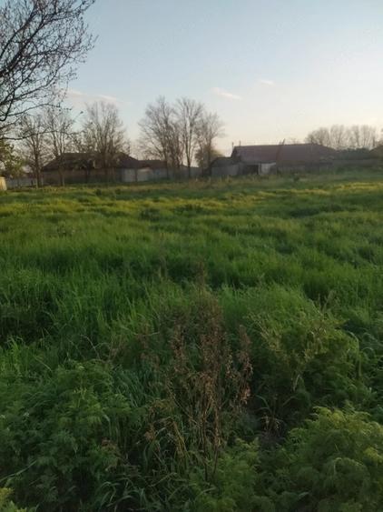 Teren de 900 mp, în Mihail Kogălniceanu