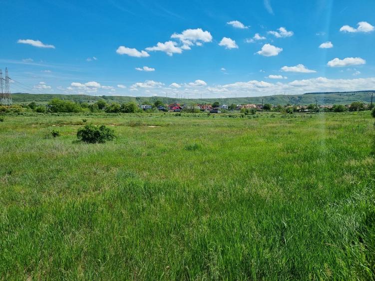 Teren Construcții de 4246 mp, în Petrești