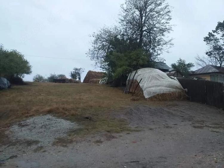 Teren de 1980 mp, în Bălteni
