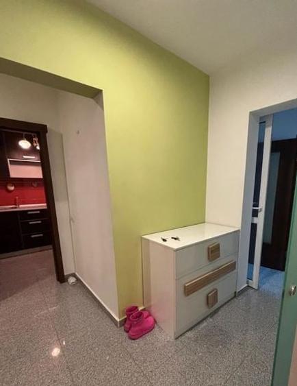 Apartament cu 3 camere decomandat, mobilat în Tineretului